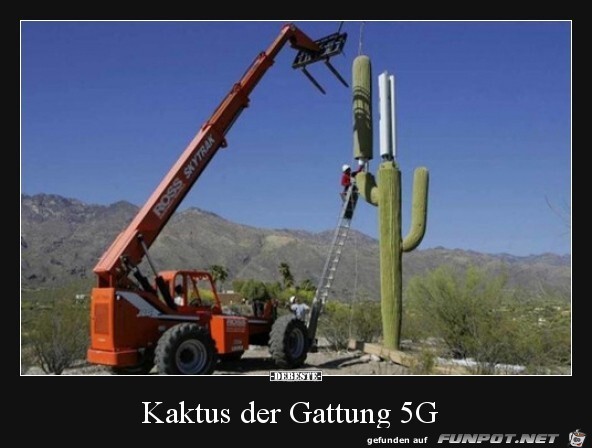5G Kaktus