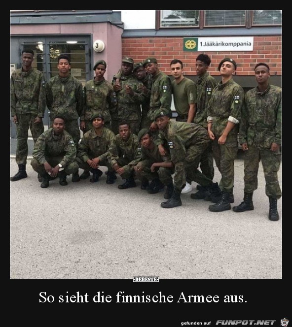 Die finnische Armee