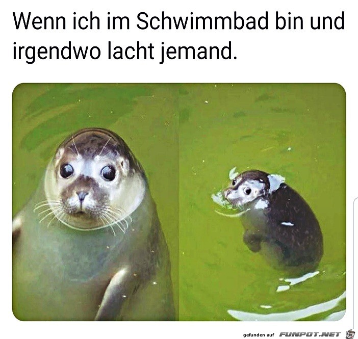 Wenn ich im Schwimmbad bin