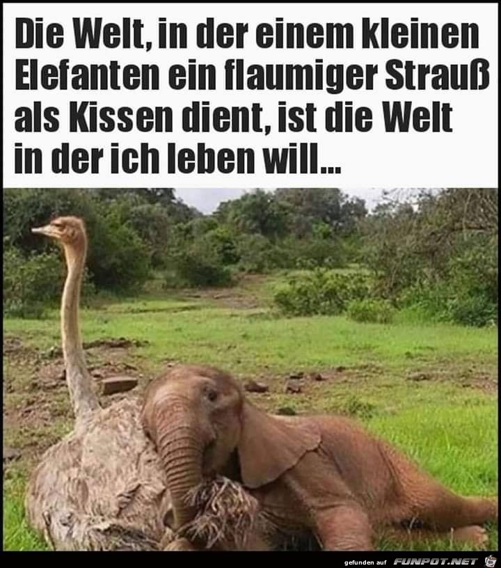 Das ist eine friedliche Welt