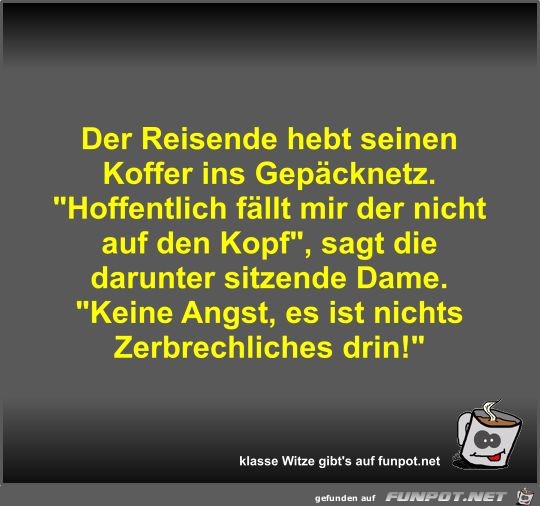 Der Reisende hebt seinen Koffer ins Gepäcknetz Der Reisende hebt seinen Koffer ins Gepäcknetz
