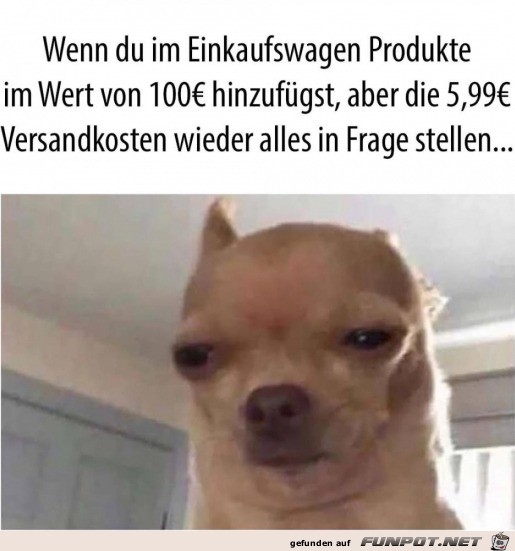 Zu hohe Versandkosten