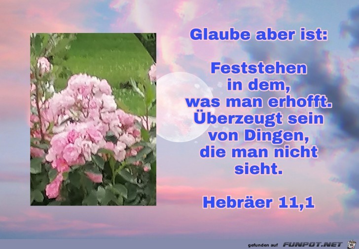 glaube aber ist