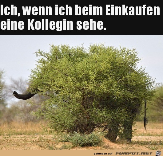 Schnell verstecken, wenn man Kollegen sieht