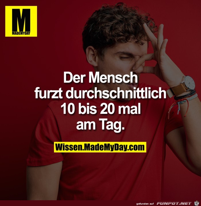 Der Mensch...