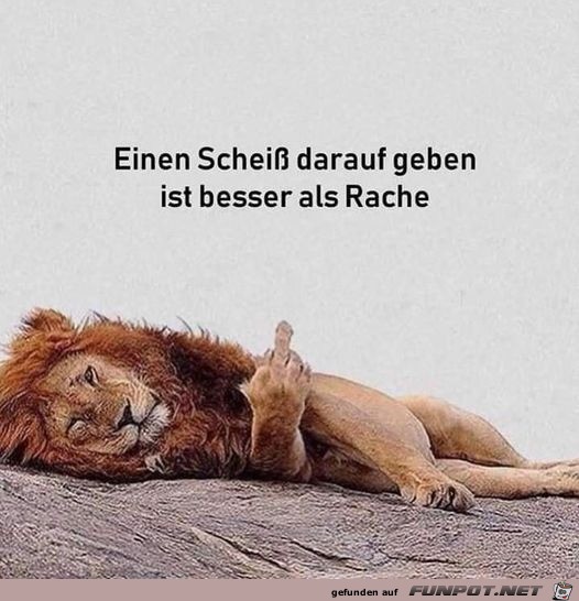 Das ist besser als Rache