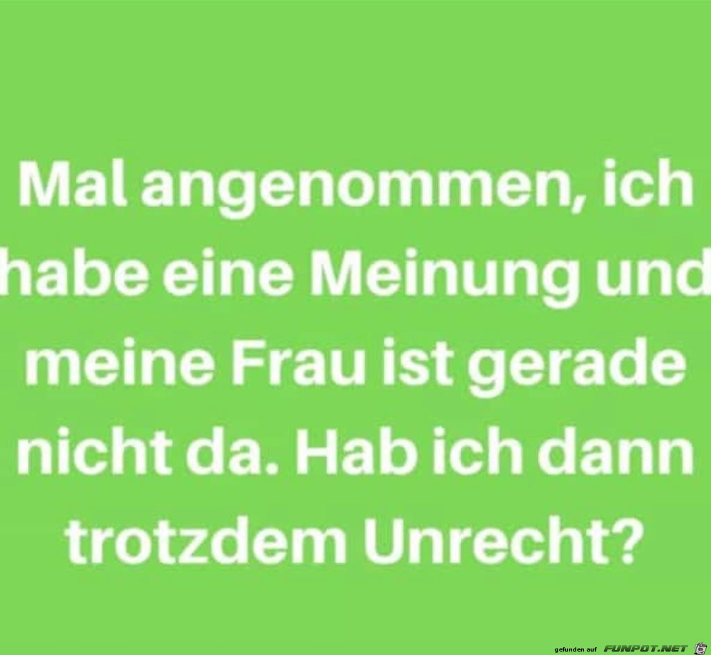 Meinung Meinung