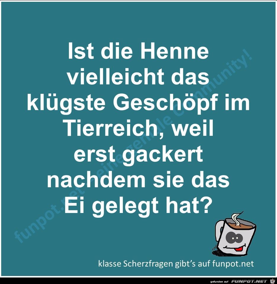 Scherzfrage Scherzfrage
