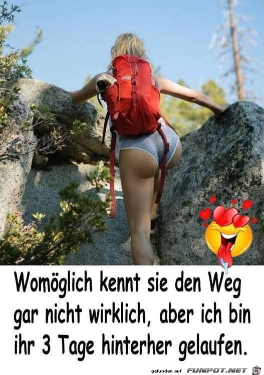 witzige frivole Bilder aus verschiedenen Blogs. Wenn...