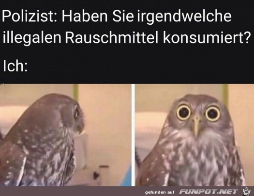 Haben Sie was konsumiert?