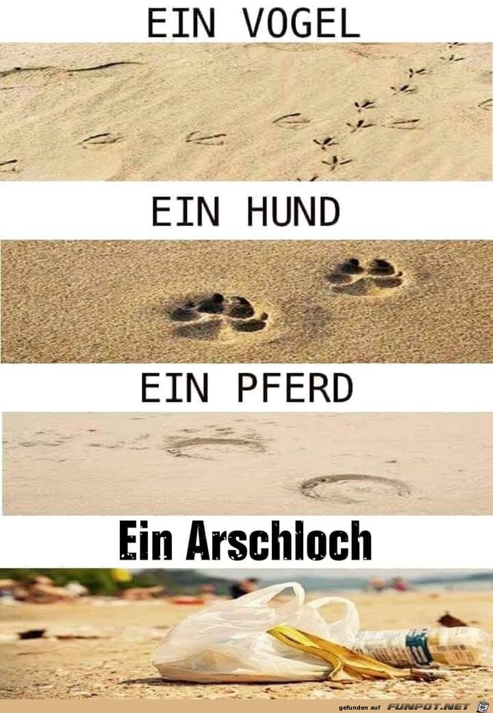 Spuren Spuren