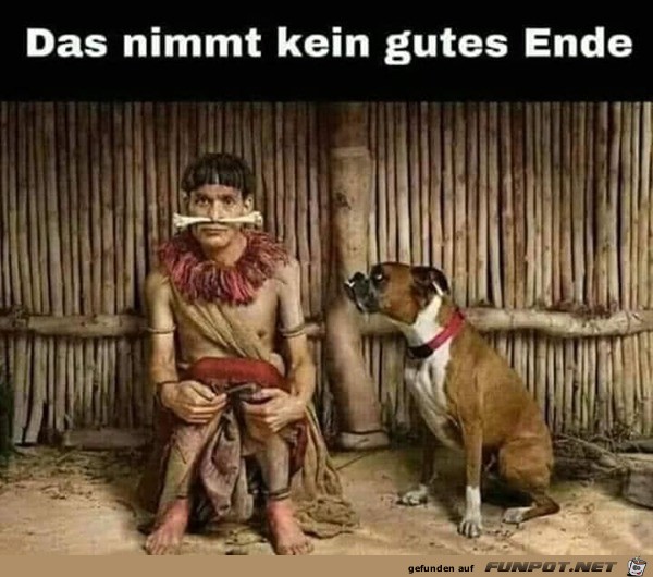 Das nimmt kein gutes Ende