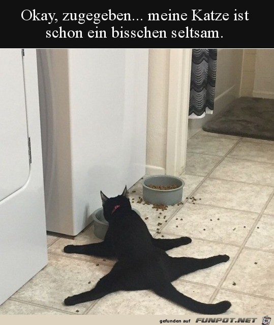 Bisschen komisch diese Katze