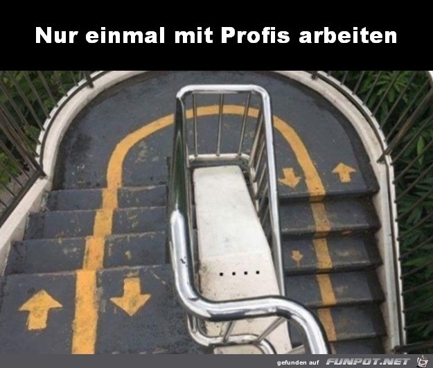 Einmal mit Profis arbeiten