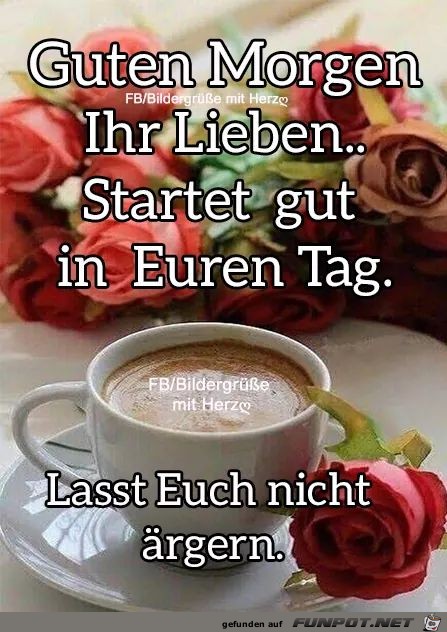 Guten Morgen