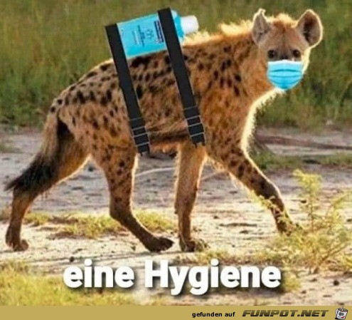 Eine Hygiene