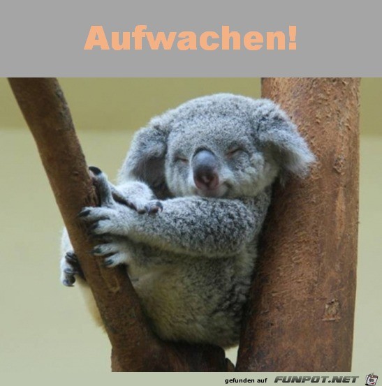 Aufwachen