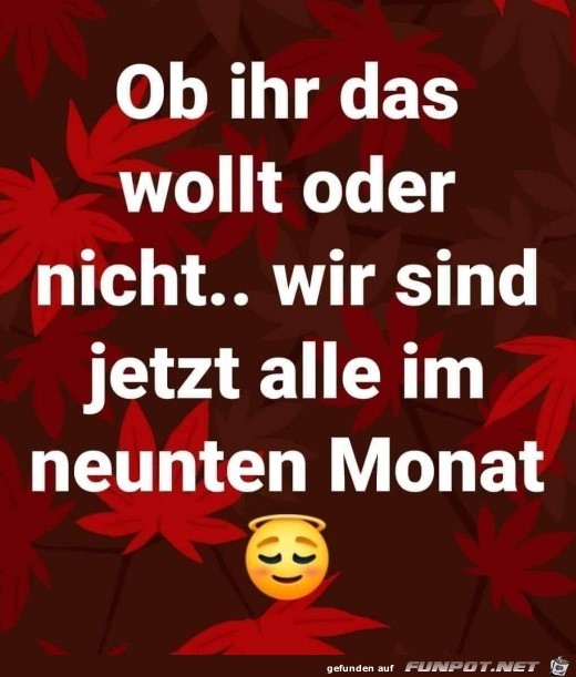 Ob ihr das wollt oder nicht