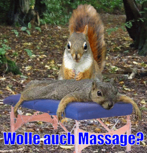 Auch eine Massage gewnscht?