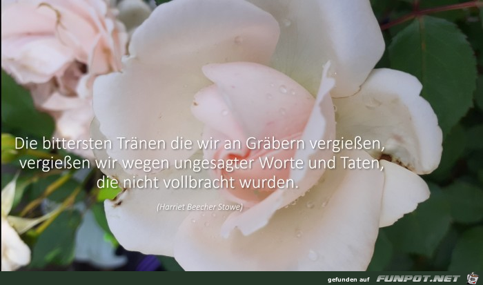Tränen am Grabe Tränen am Grabe