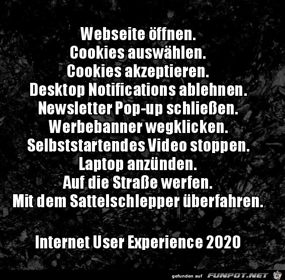 Die Interneterfahrung 2020