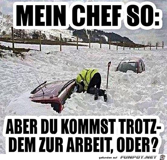 Du kommst aber trotzdem zur Arbeit oder?