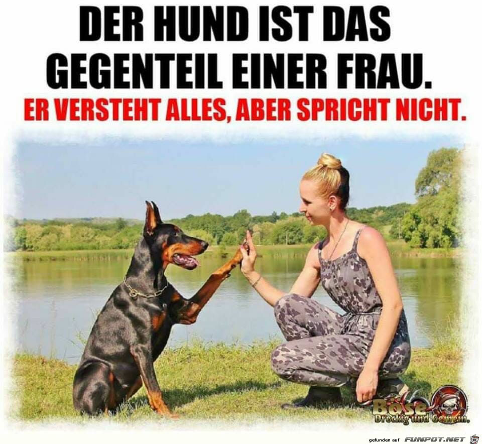 der Hund