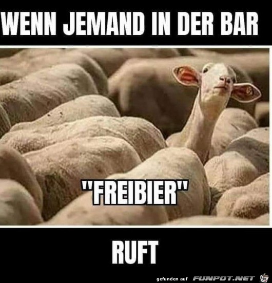 Es gibt Freibier Es gibt Freibier