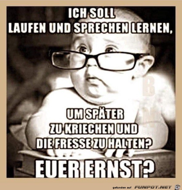 Ist das euer Ernst?