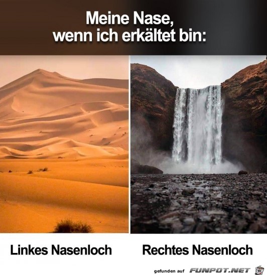 Meine Nase, wenn ich erkaeltet bin