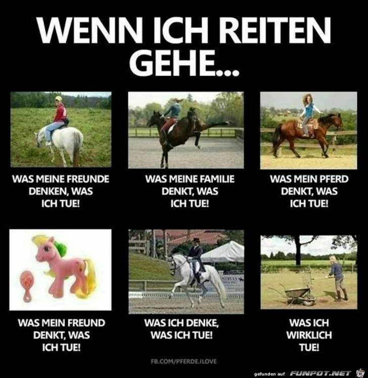 Wenn ich reiten gehe