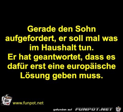 Europische Lsung