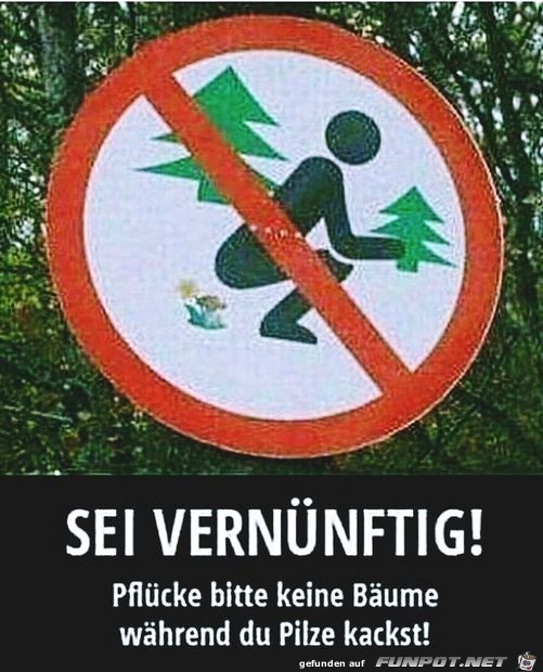 Keine Bume pflcken