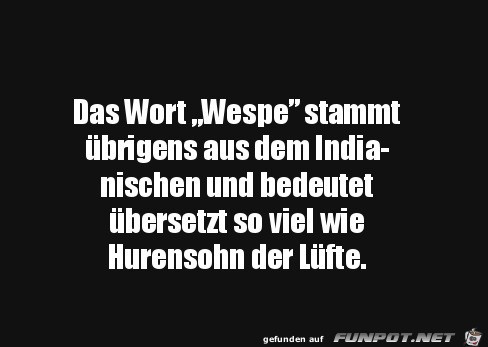 Das Wort Wespe