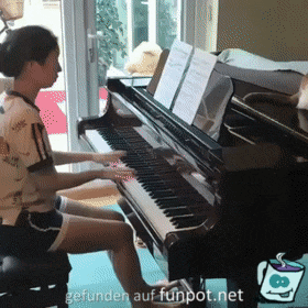 Katze luft einfach aufs Klavier