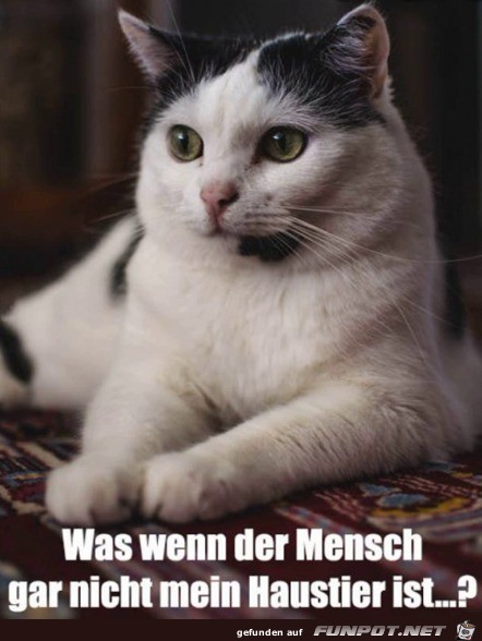 Was wenn der Mensch...