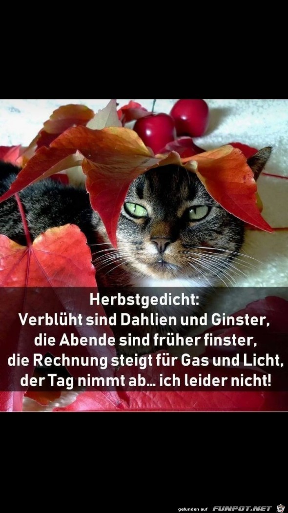 Herbstgedicht