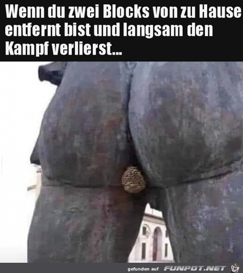 witzige frivole Bilder aus verschiedenen Blogs. Nicht...