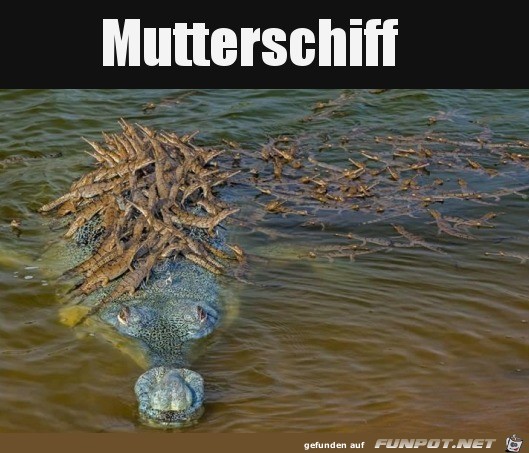 Mutterschiff