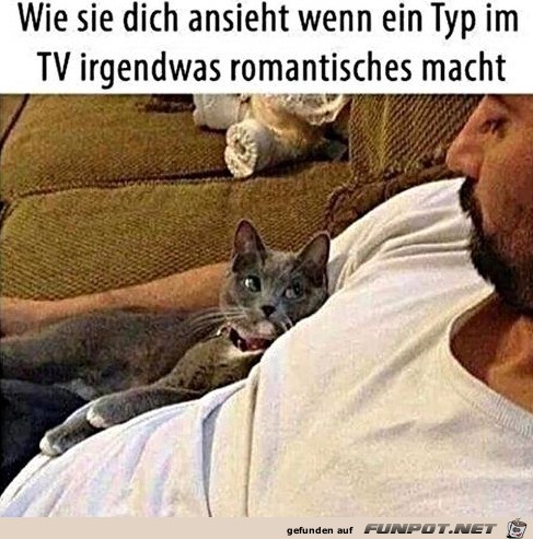 Dieser Blick