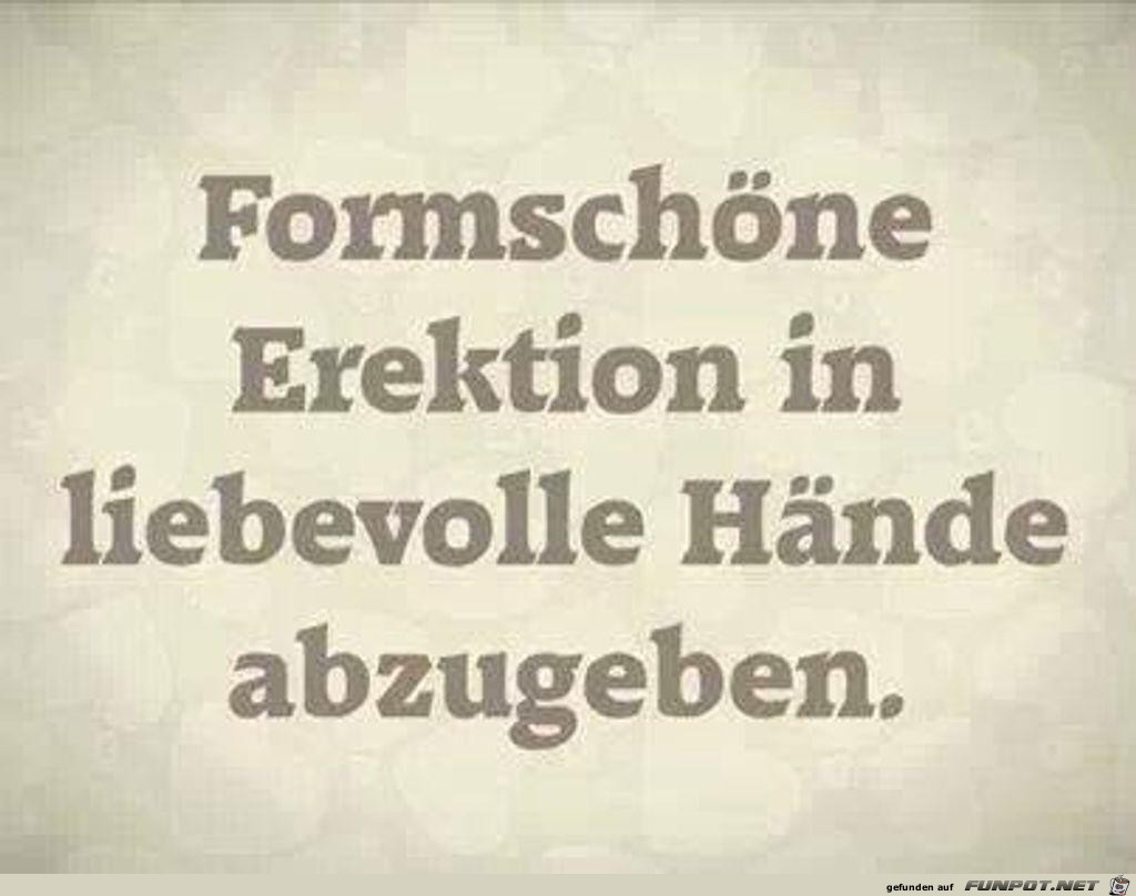 Formschne...