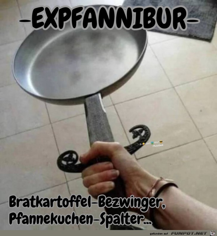 Expfannibur