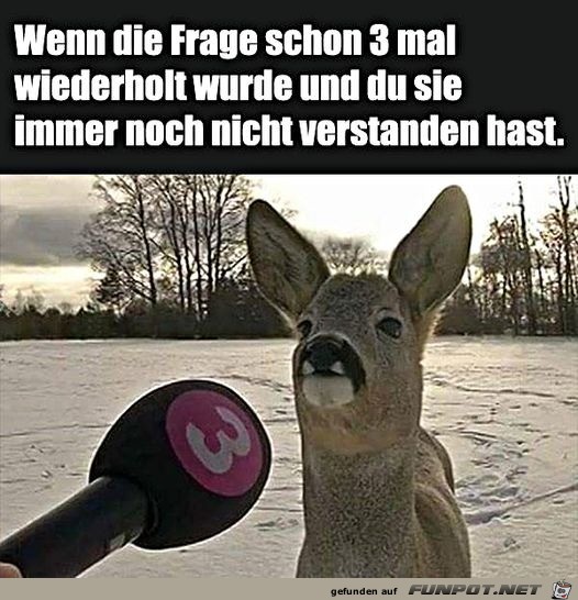 Ich hab das immer noch nicht kapiert