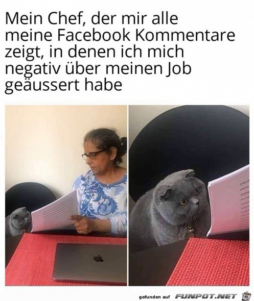 Meine Facebook-Kommentare