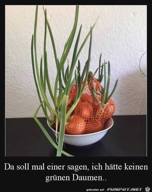 witzige Bilder aus verschiedenen Blogs