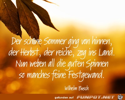 Der schne Sommer