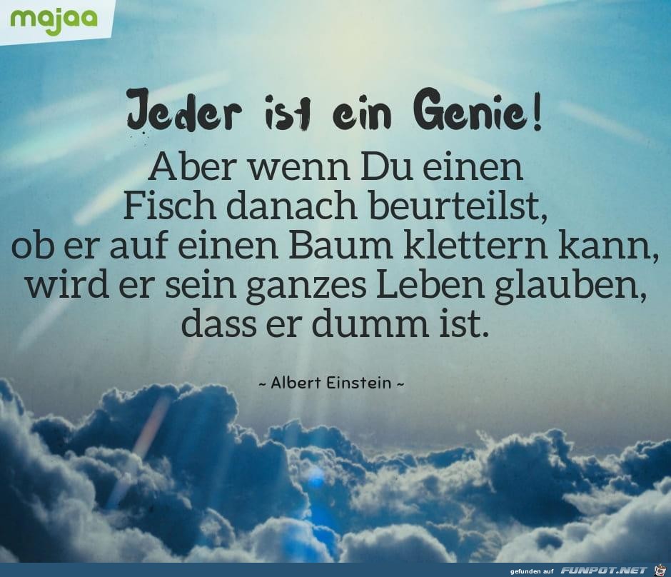 Jeder ist ein Genie