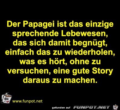 Der Papagei Der Papagei