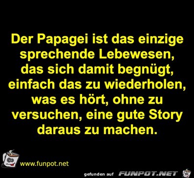 Der Papagei