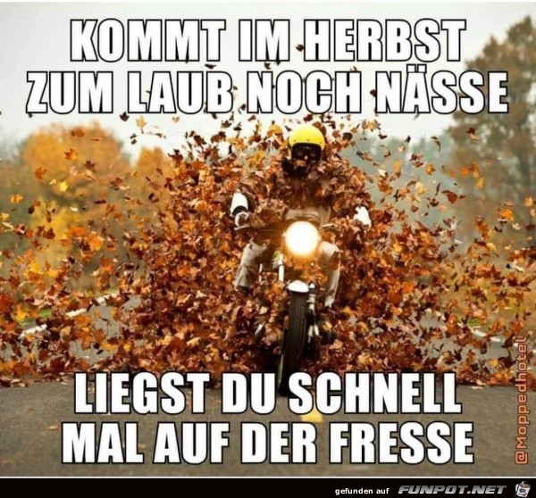 Herbst